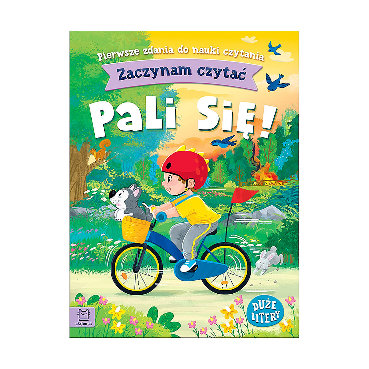 Zaczynam czytać. Duże litery. Pierwsze zdania do nauki czytania - Wydawnictwo Aksjomat Pali się!
