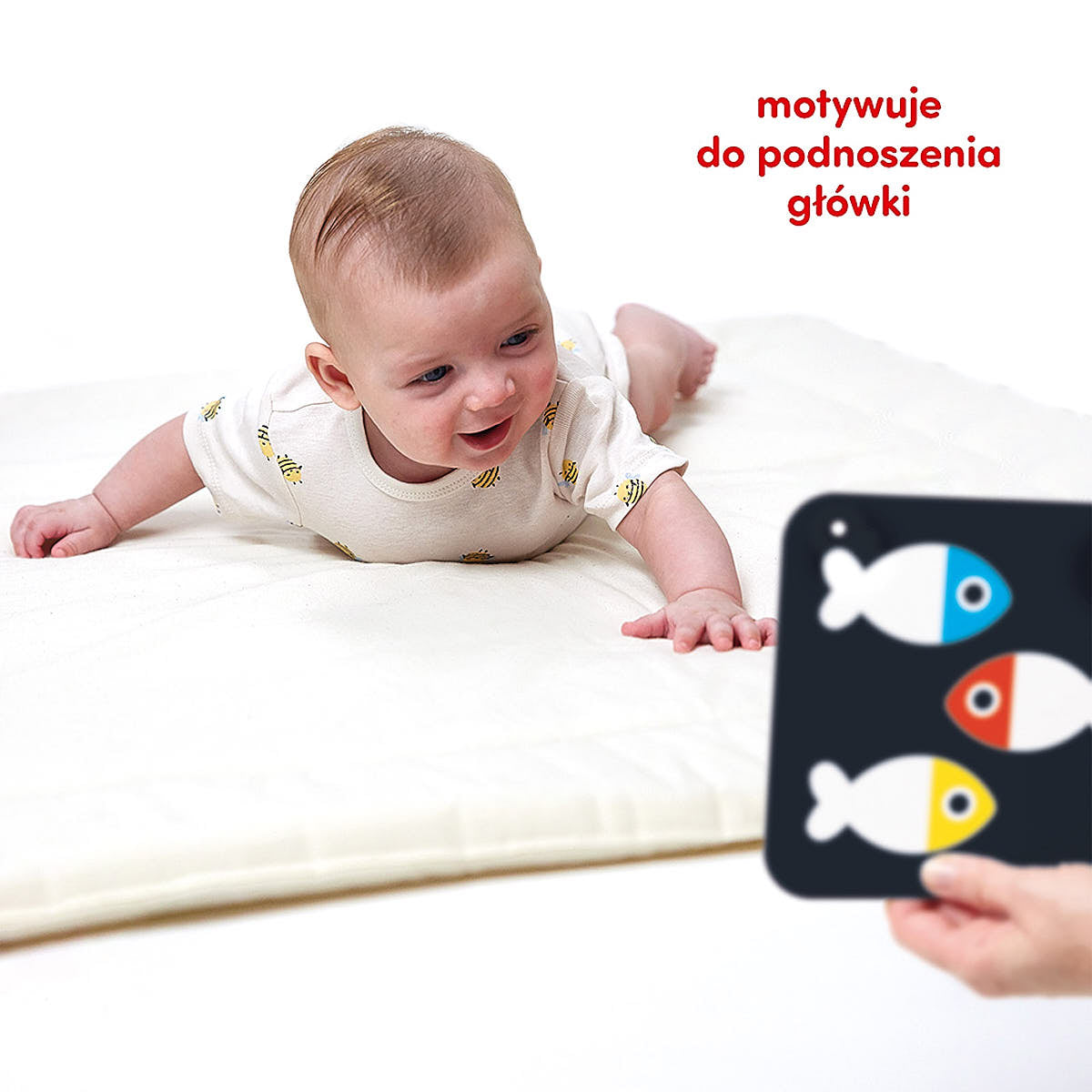 Duże karty kontrastowe dla dzieci 0 i 3 mies.+ - CzuCzu