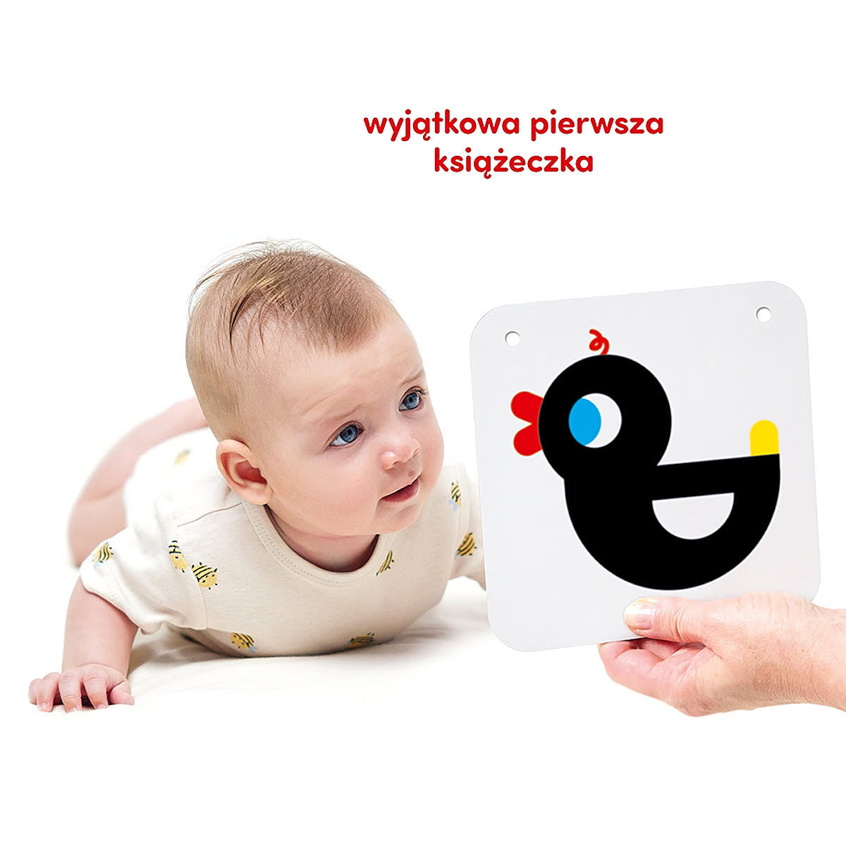 Duże karty kontrastowe dla dzieci 0 i 3 mies.+ - CzuCzu