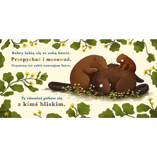 Rok w lesie. Bóbr - Wydawnictwo Nasza Księgarnia