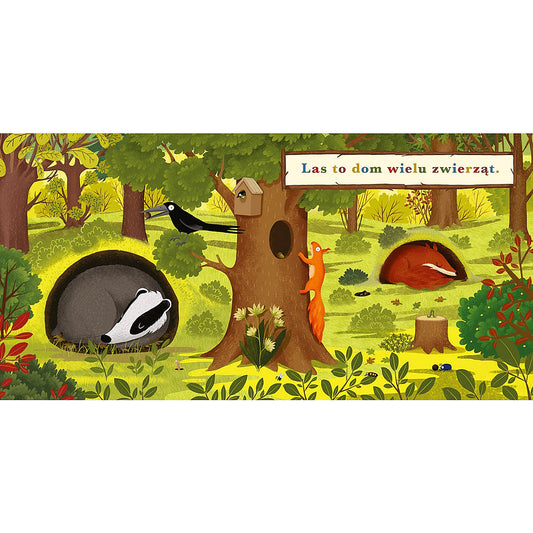 Rok w lesie. Borsuk - Wydawnictwo Nasza Księgarnia