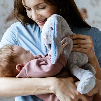 Szumiący Króliś Felek - Whisbear