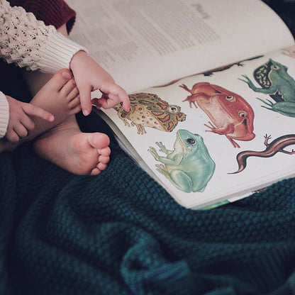 Kocyk ze 100% wełny merino - Premium collection - My Memi bottle green