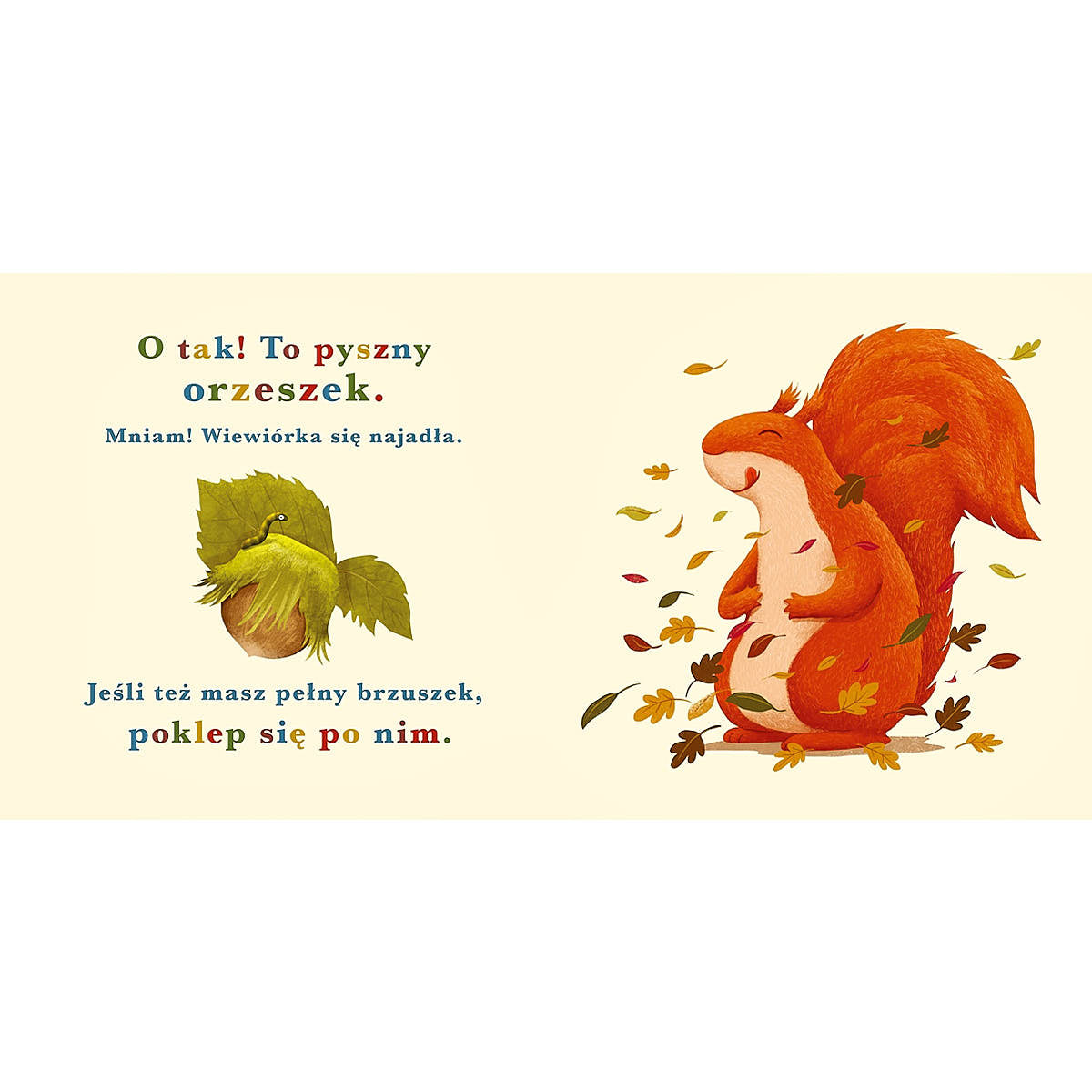 Rok w lesie. Wiewiórka - Wydawnictwo Nasza Księgarnia