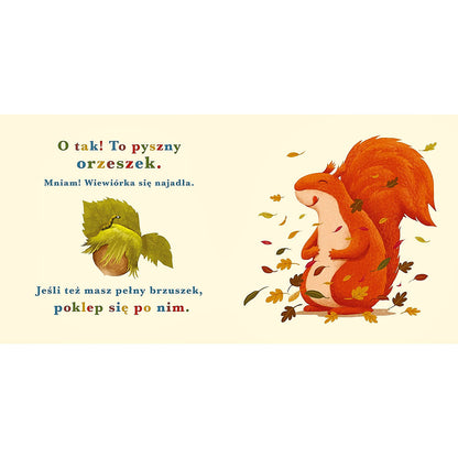 Rok w lesie. Wiewiórka - Wydawnictwo Nasza Księgarnia