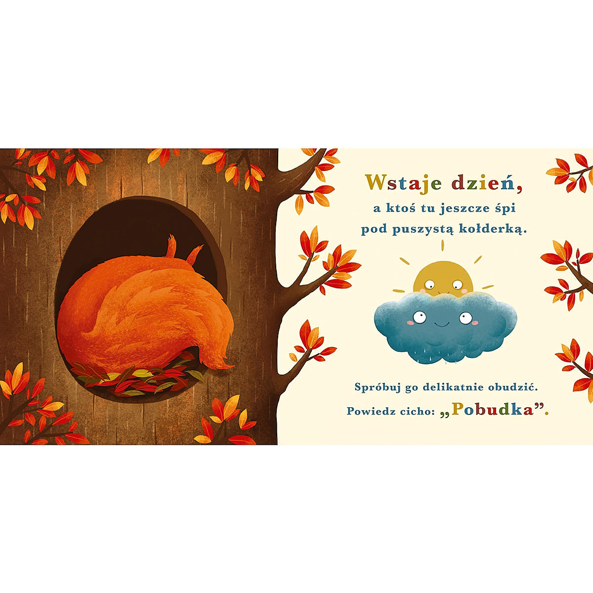 Rok w lesie. Wiewiórka - Wydawnictwo Nasza Księgarnia