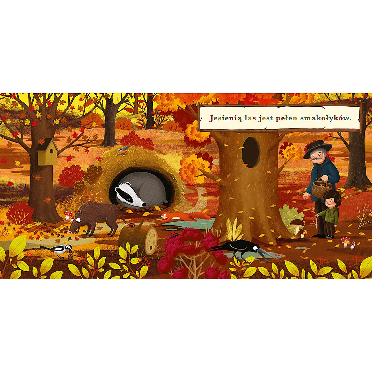 Rok w lesie. Wiewiórka - Wydawnictwo Nasza Księgarnia