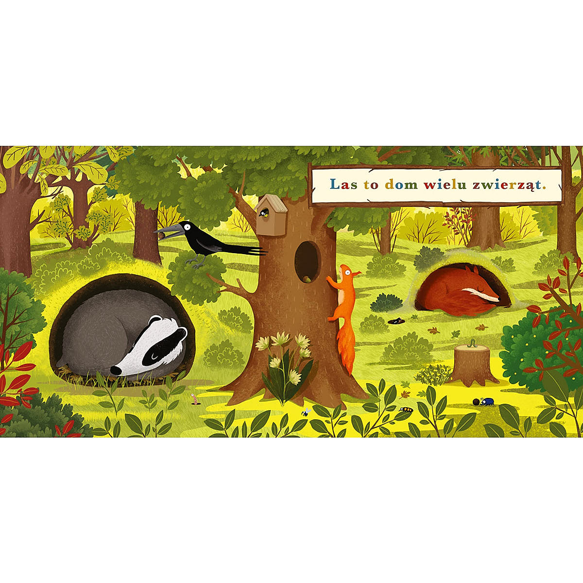 Rok w lesie. Borsuk - Wydawnictwo Nasza Księgarnia